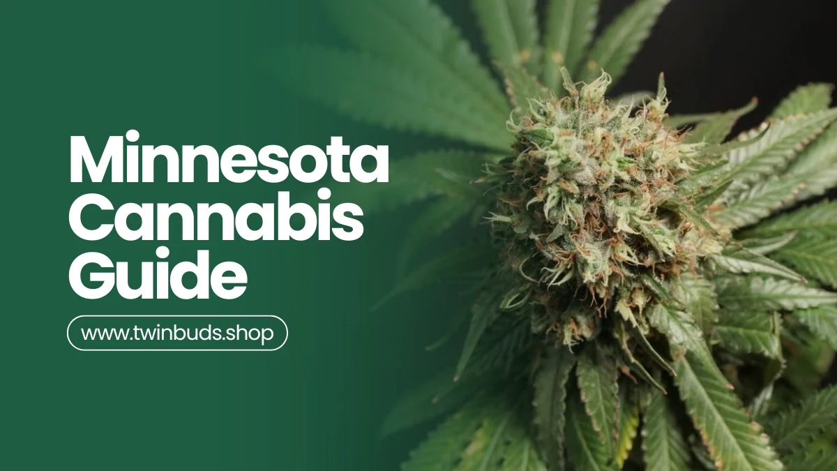 Minnesota cannabis guide